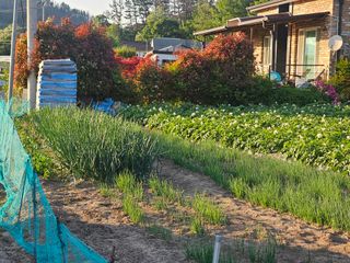 오영관님의 자유주제 · 사진전 작성글 사진