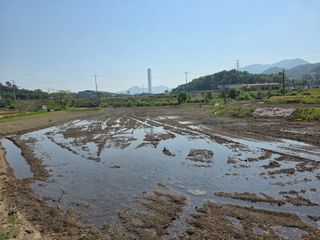 최경림님의 자유주제·자유게시판 작성글 사진