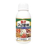 팜모닝 · 게시글 이미지