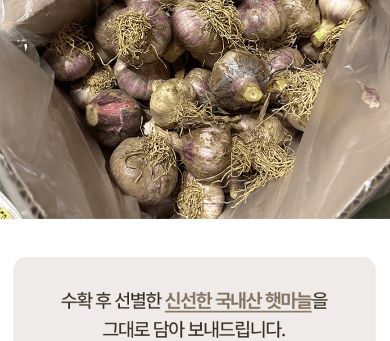 스피드번님의 장터 판매 상품 [국내산 햇마늘] 첨부 사진