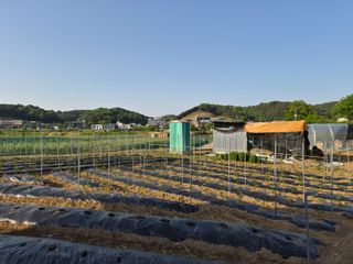Kns4324님의 자유주제 · 자유게시판 작성글 사진