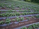백용기님의 자유주제·자유게시판 작성글 사진
