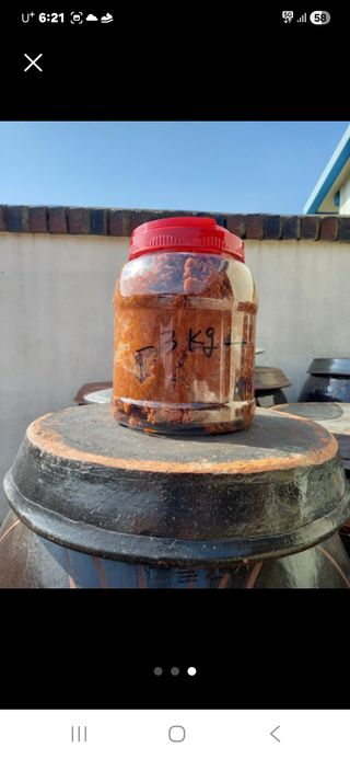 김두영님의 작성글 사진