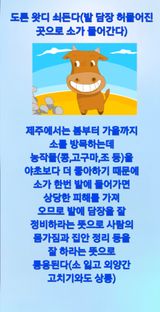 팜모닝 자유주제·자유게시판 게시글 이미지