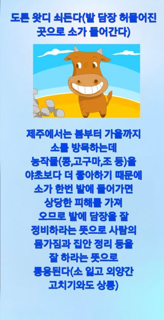 Kns4324님의 자유주제·자유게시판 작성글 사진