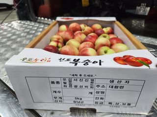 댕이골표영환님의 자유주제 · 자유게시판 작성글 사진