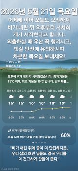 Kns4324님의 자유주제·자유게시판 작성글 사진