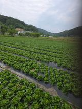 에덴농원님의 자유주제·자유게시판 작성글 사진