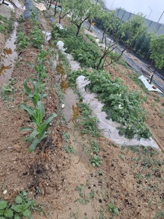 전희분님의 자유주제 · 사진전 작성글 사진