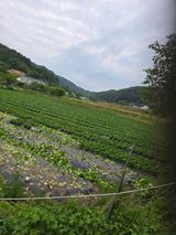 에덴농원님의 자유주제·자유게시판 작성글 사진