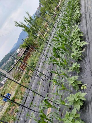이박농장님의 자유주제 · 자유게시판 작성글 사진