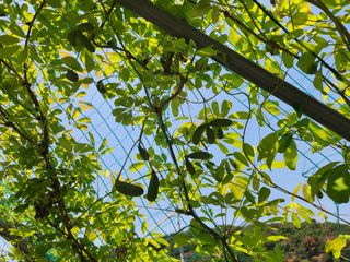 김재현님의 자유주제 · 사진전 작성글 사진