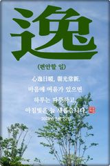 팜모닝 자유주제·자유게시판 게시글 이미지