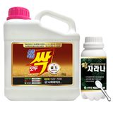 팜모닝 · 게시글 이미지