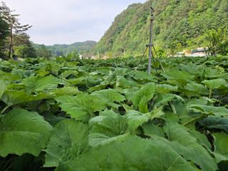 장관덕님의 자유주제 · 자유게시판 작성글 사진