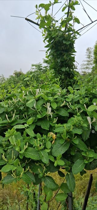 우철님의 자유주제 · 자유게시판 작성글 사진