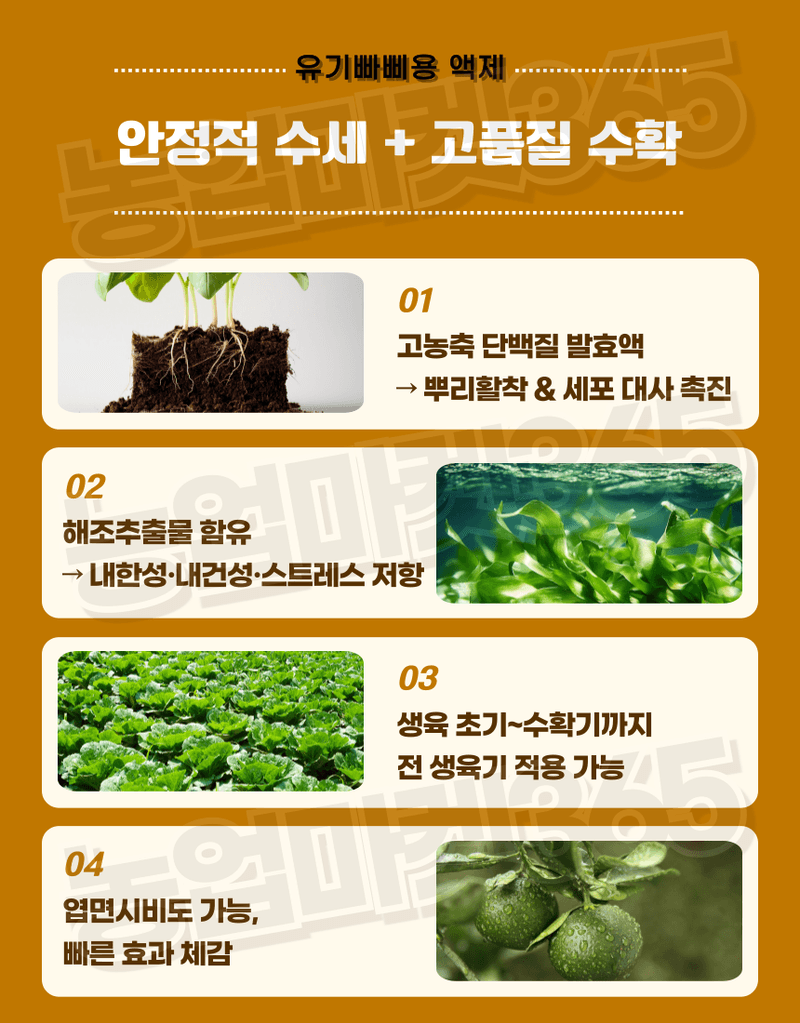 농업마켓365님의 장터 판매 상품 [유기빠삐용 입제 10KG 2포 액제 11L 2통 SET 아미노산 해조추출물 프리미엄 토양개량제 토양관주제] 첨부 사진