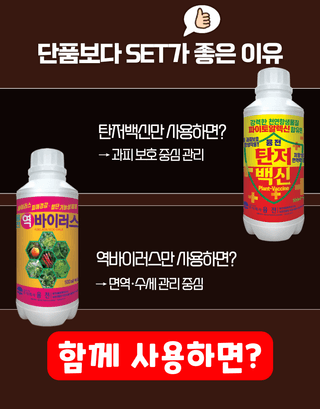 농업마켓365님의 작성글 사진