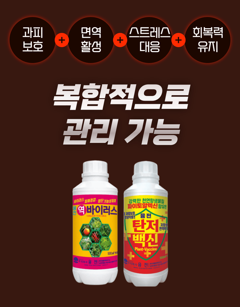 농업마켓365님의 장터 판매 상품 [융전 탄저백신 + 역바이러스 (500ML) SET 장마철 탄저 바이러스 관리제 과피보호 면역강화] 첨부 사진