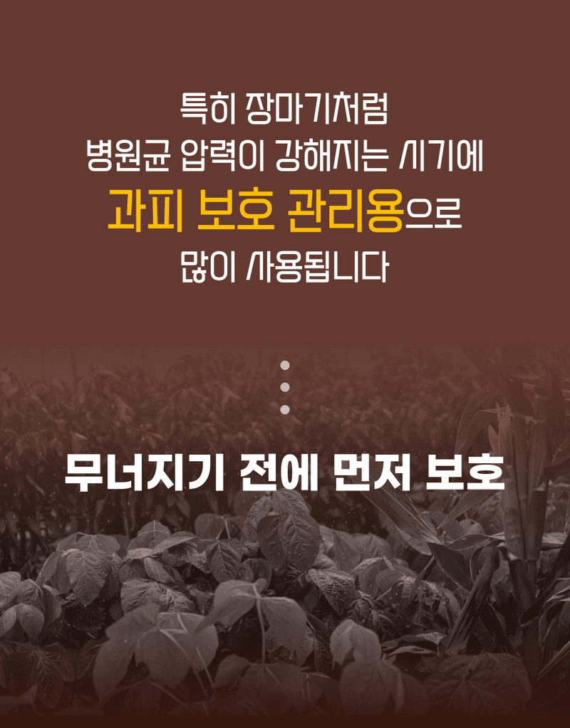 농업마켓365님의 장터 판매 상품 [융전 탄저백신 + 역바이러스 (500ML) SET 장마철 탄저 바이러스 관리제 과피보호 면역강화] 첨부 사진