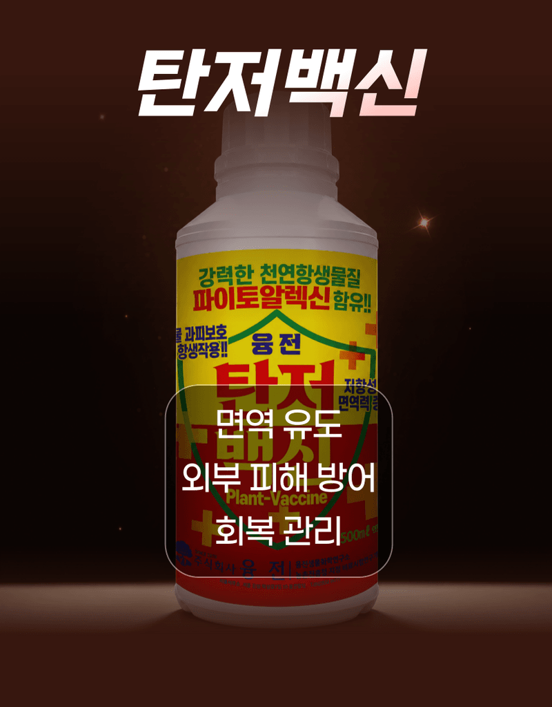 농업마켓365님의 장터 판매 상품 [융전 탄저백신 + 역바이러스 (500ML) SET 장마철 탄저 바이러스 관리제 과피보호 면역강화] 첨부 사진