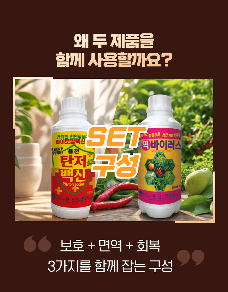 농업마켓365님의 장터 판매 상품 [융전 탄저백신 + 역바이러스 (500ML) SET 장마철 탄저 바이러스 관리제 과피보호 면역강화] 첨부 사진