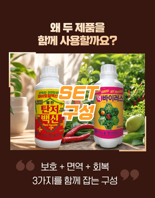 농업마켓365님의 작성글 사진