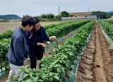 팜모닝 자유주제·자유게시판 게시글 이미지