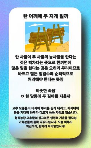 Kns4324님의 자유주제 · 자유게시판 작성글 사진