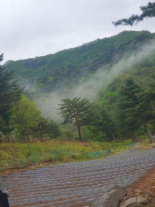 인생은 소풍처럼~님의 자유주제 · 자유게시판 작성글 사진