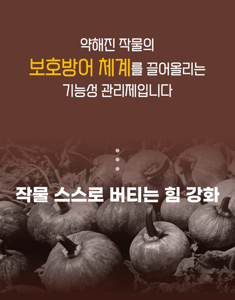 농업마켓365님의 장터 판매 상품 [융전 탄저백신 + 역바이러스 (500ML) SET 장마철 탄저 바이러스 관리제 과피보호 면역강화] 첨부 사진