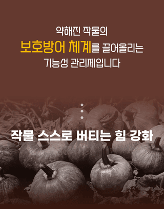 농업마켓365님의 작성글 사진