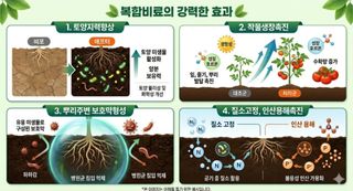 한농농약종묘사님의 작성글 사진