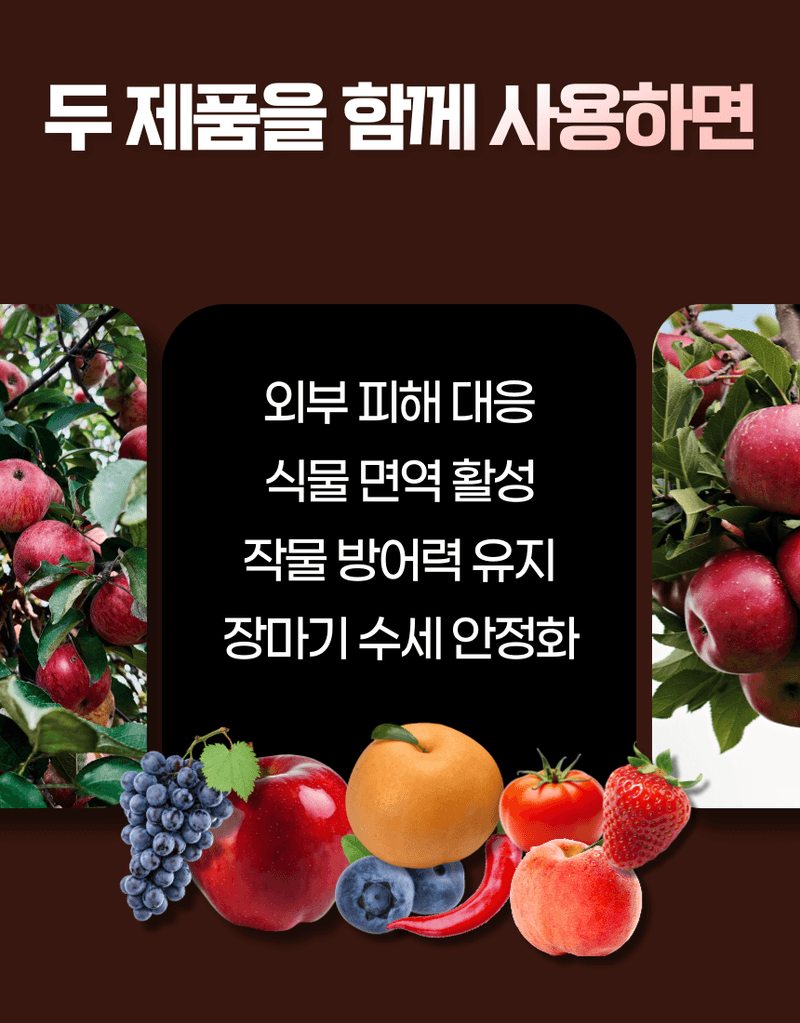 농업마켓365님의 장터 판매 상품 [융전 탄저백신 + 역바이러스 (500ML) SET 장마철 탄저 바이러스 관리제 과피보호 면역강화] 첨부 사진