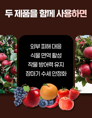 농업마켓365님의 작성글 사진