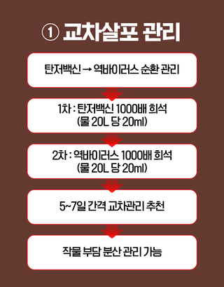 농업마켓365님의 작성글 사진