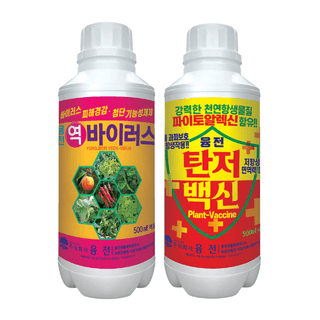 농업마켓365님의 작성글 사진