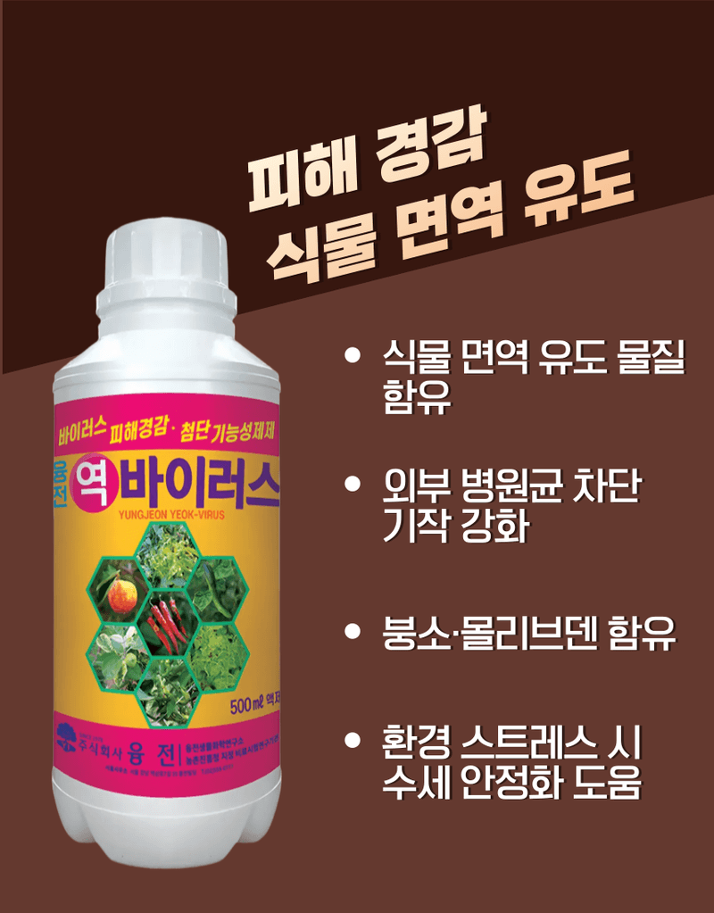 농업마켓365님의 장터 판매 상품 [융전 탄저백신 + 역바이러스 (500ML) SET 장마철 탄저 바이러스 관리제 과피보호 면역강화] 첨부 사진