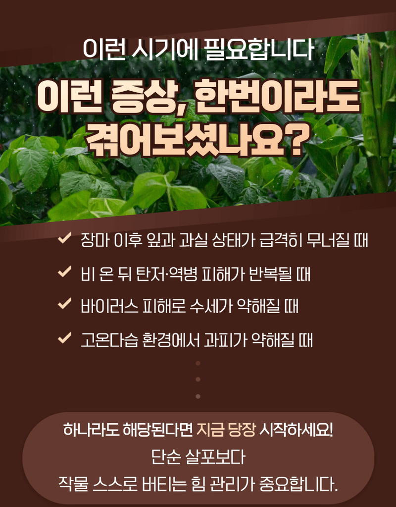 농업마켓365님의 장터 판매 상품 [융전 탄저백신 + 역바이러스 (500ML) SET 장마철 탄저 바이러스 관리제 과피보호 면역강화] 첨부 사진