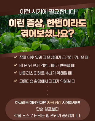 농업마켓365님의 작성글 사진