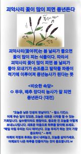 팜모닝 자유주제·자유게시판 게시글 이미지