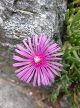 팜모닝 자유주제·자유게시판 게시글 이미지