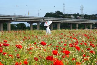 국중선님의 자유주제 · 자유게시판 작성글 사진
