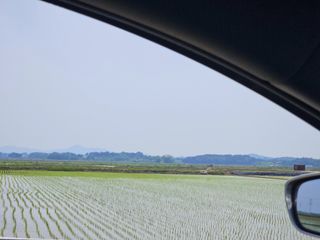 이미옥님의 벼 · 영농일지 작성글 사진