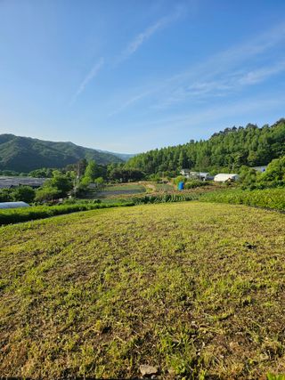 홍천산채농원님의 자유주제 · 자유게시판 작성글 사진