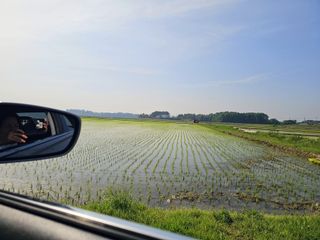 이미옥님의 벼 · 영농일지 작성글 사진