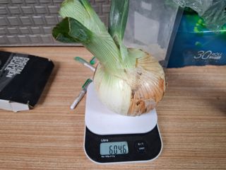 초보굴백이님의 자유주제 · 자유게시판 작성글 사진