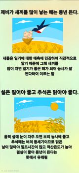 Kns4324님의 자유주제·자유게시판 작성글 사진