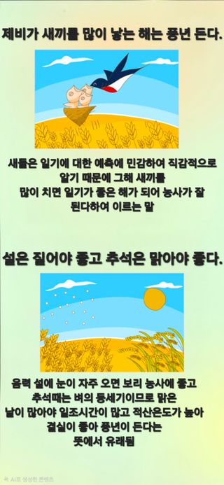Kns4324님의 자유주제 · 자유게시판 작성글 사진