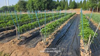 차상만님의 자유주제 · 자유게시판 작성글 사진